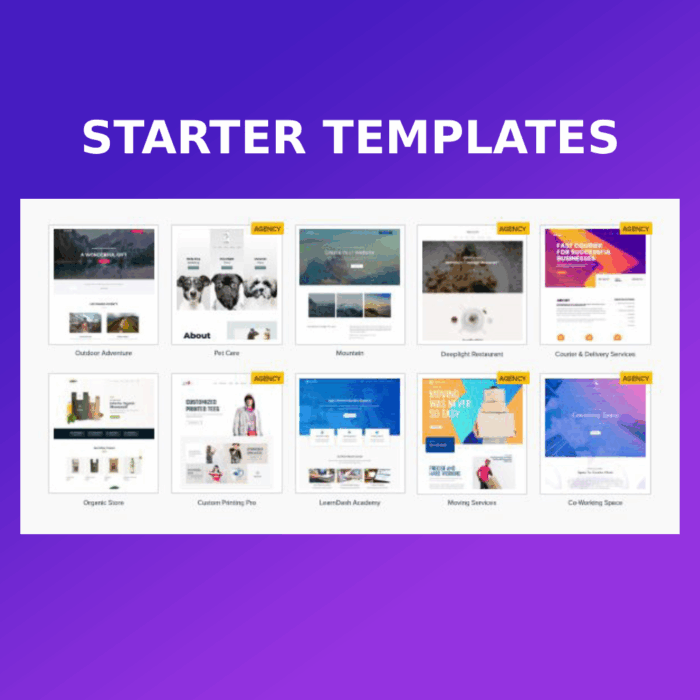 Astra Theme with Pro Addon & Starter Sites – GPL License - Image 4