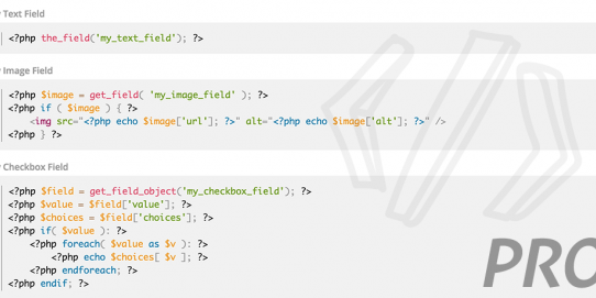 img-102 Advanced Custom Fields Theme Code Pro v2.5.6 - Image 1
