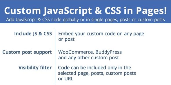 img-1161 Custom JavaScript & CSS in Pages v3.8 - Image 1