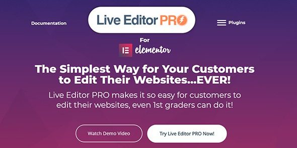 img-1184 Live Editor PRO for Elementor v1.4.0 - Image 1