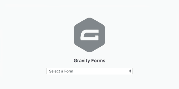img-125 Gravity Forms Gutenberg Add-On 1.0-rc-1.5 v1.0 - Image 1