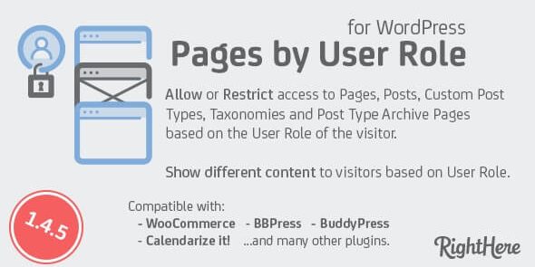 img-1289 Pages by User Role for WordPress v1.7.2.101119 - Image 1