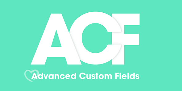 img-40 Advanced Custom Fields (ACF) Pro v6.8.3 - Image 1