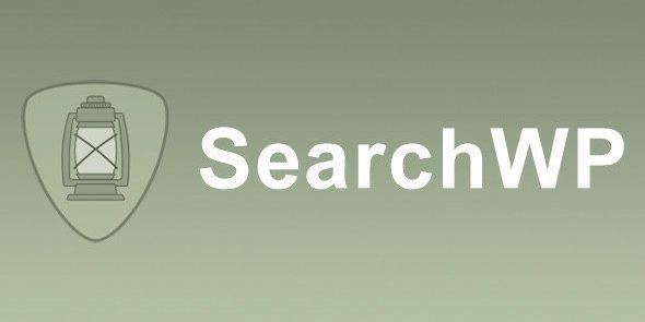 img-51 SearchWP Custom Results Order v1.3.10 - Image 1