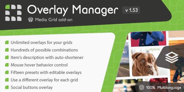 img-65 Media Grid Overlay Manager add-on v3.0.0 - Image 1