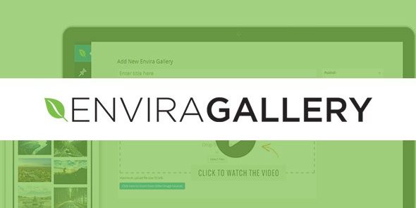 img-856 Envira Gallery Schedule Addon v1.2.6 - Image 1