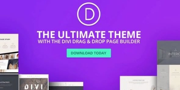 img-954 Divi Booster 5.3 – WordPress Plugin v5.3 - Image 1
